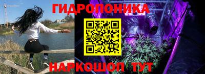 индика Балахна