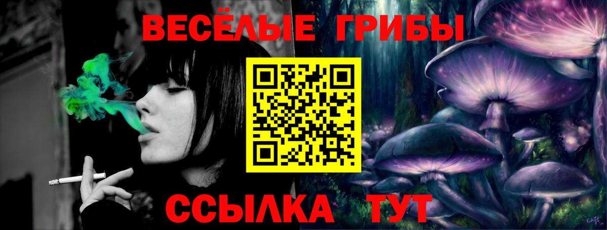 Галлюциногенные грибы MAGIC MUSHROOMS  Вход с VPN  Гатчина  Псилоцибиновые грибы мухоморы 
